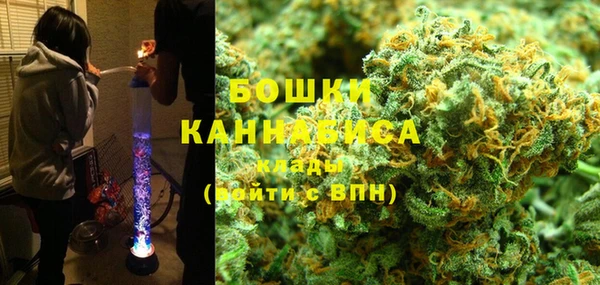 дурь Осташков