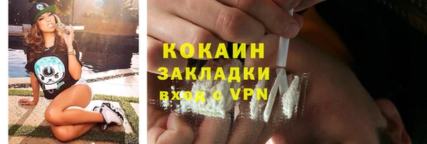 ПСИЛОЦИБИНОВЫЕ ГРИБЫ Вязники