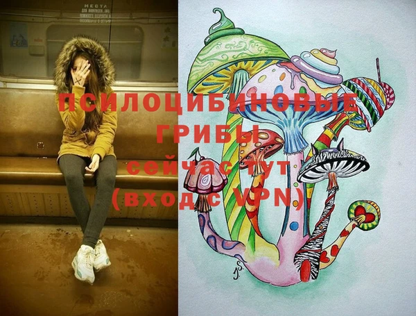 дурь Гусиноозёрск