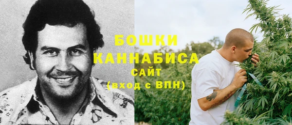 Альфа ПВП Гусев