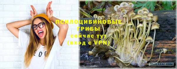 спиды Валдай