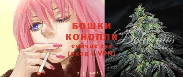 дурь Осташков