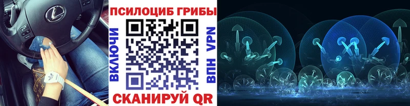 Псилоцибиновые грибы MAGIC MUSHROOMS  Балей 